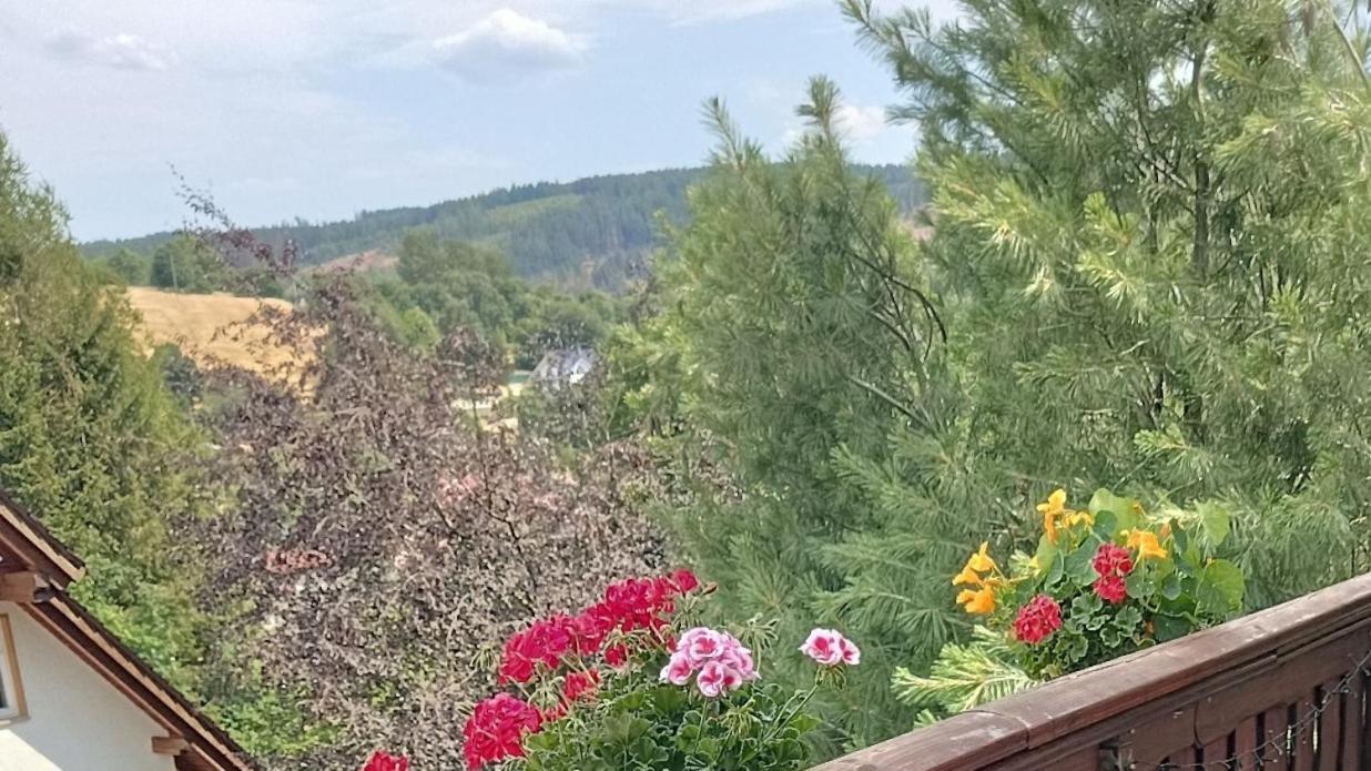 Ferienwohnung Hey Elgersburg Экстерьер фото